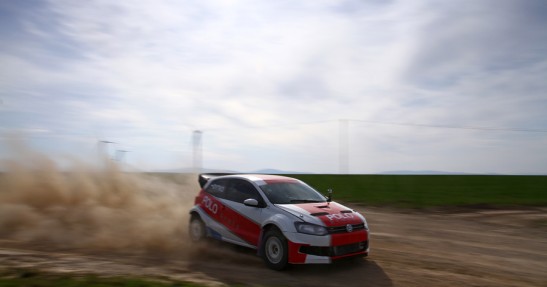 Testy Polo Proto